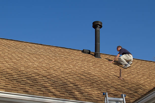 Louise, TX Roofing servicies Company